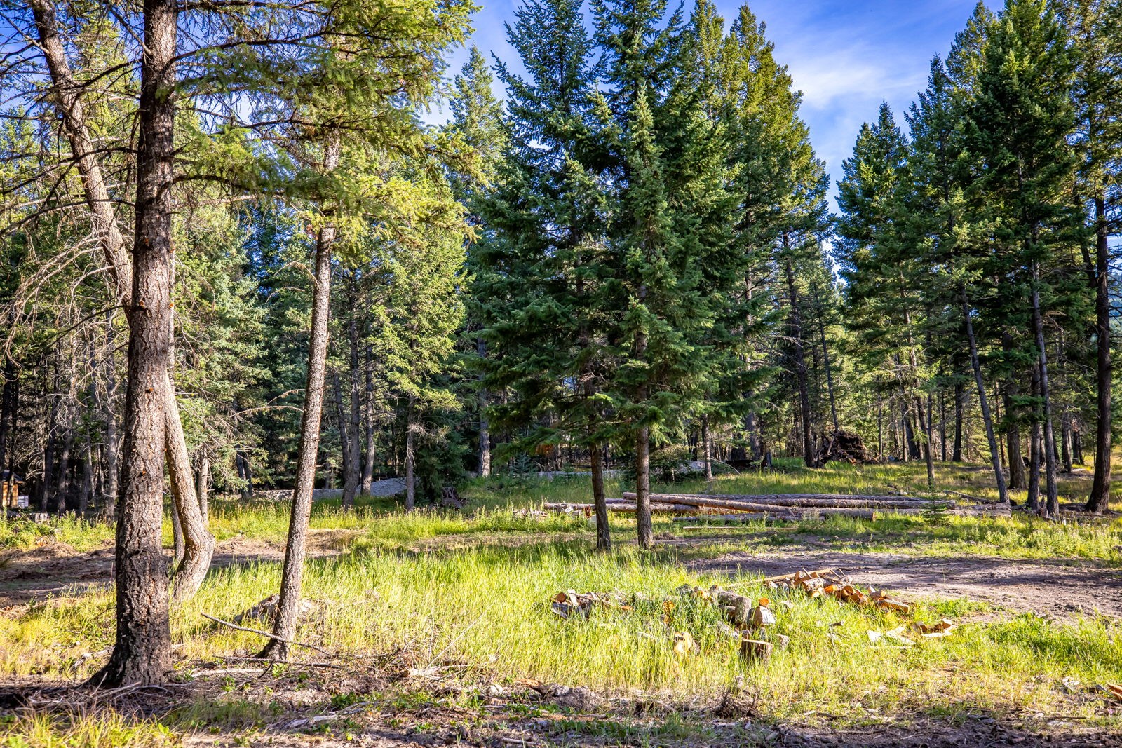 1782 Truman Creek Road Property Photo 43