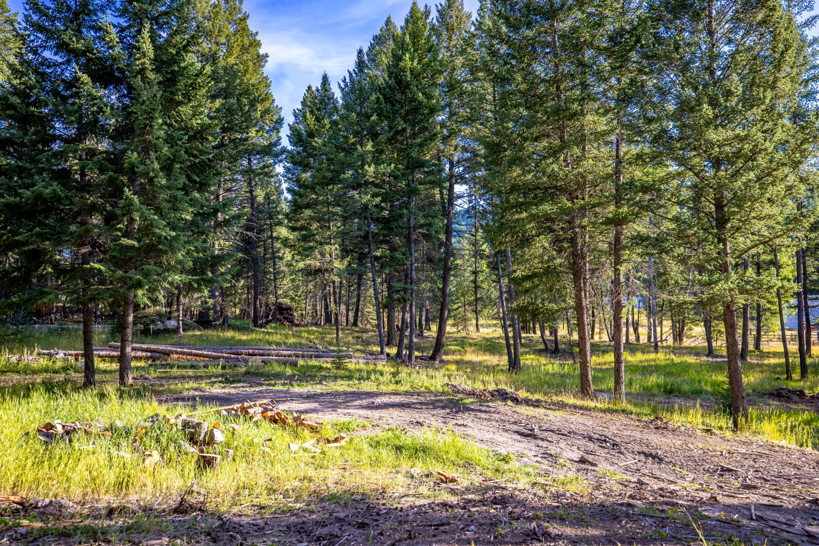 1782 Truman Creek Road Property Photo 44