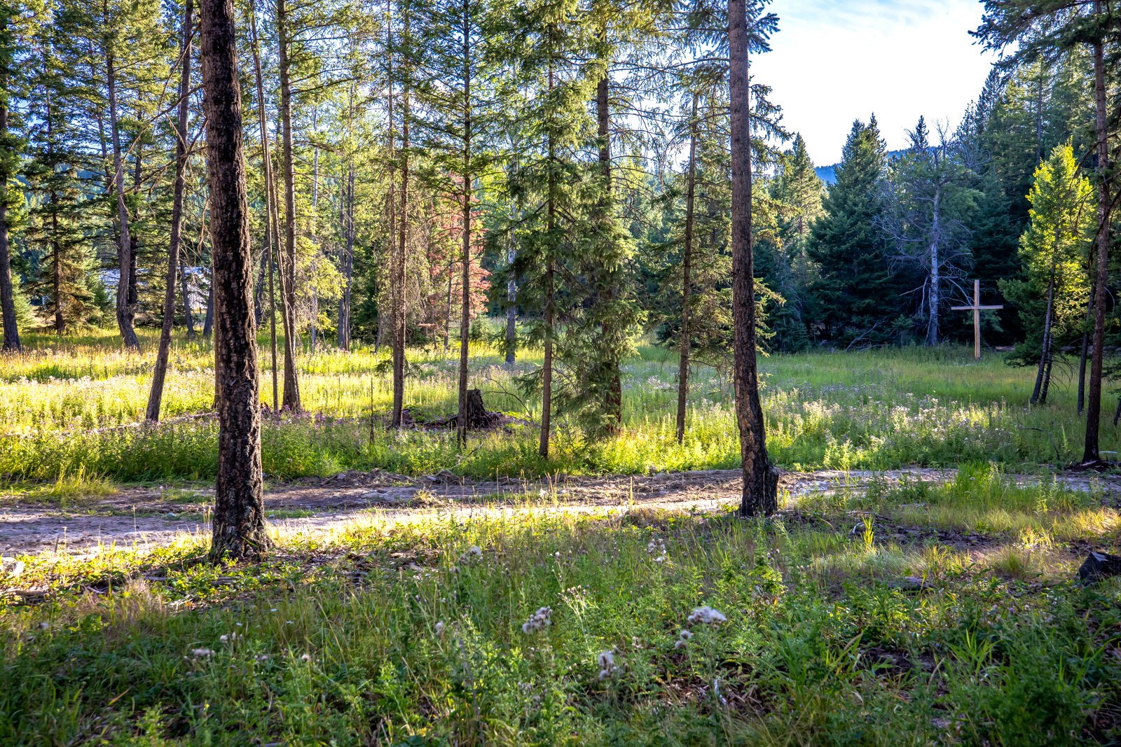 1782 Truman Creek Road Property Photo 45