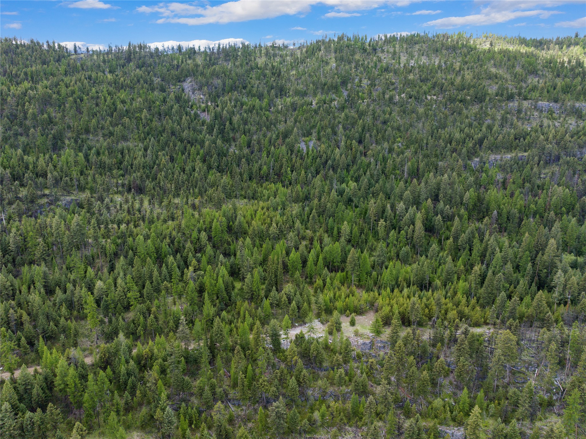 300 Highland Trail Property Photo 12