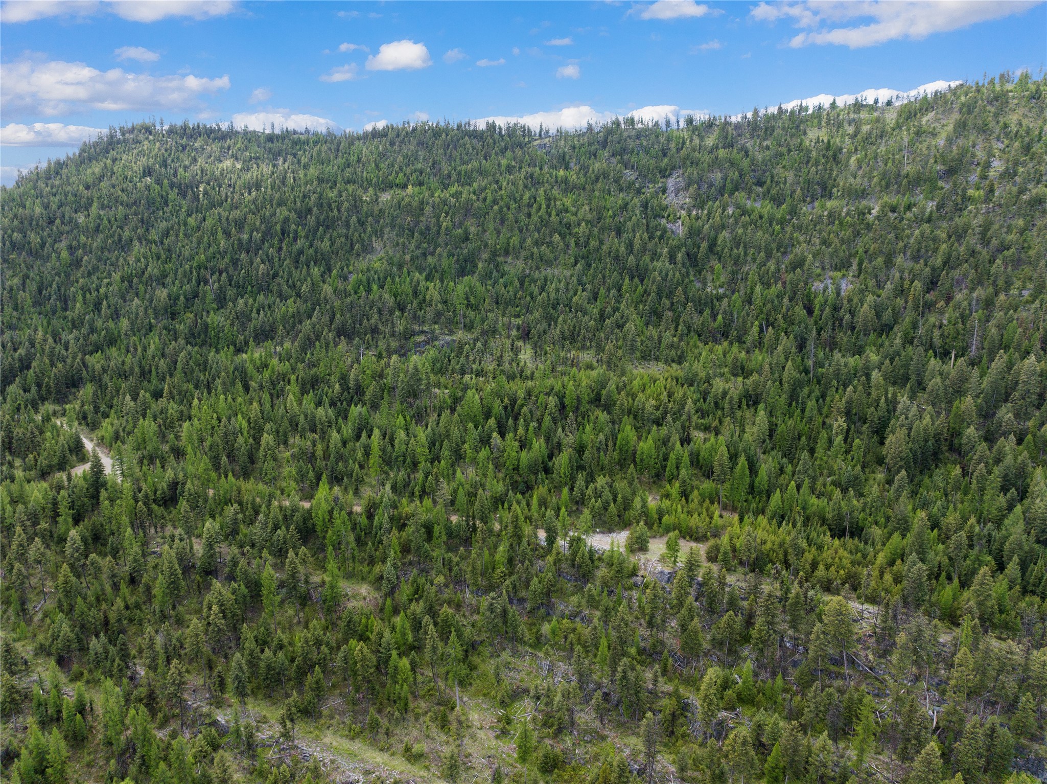 300 Highland Trail Property Photo 13