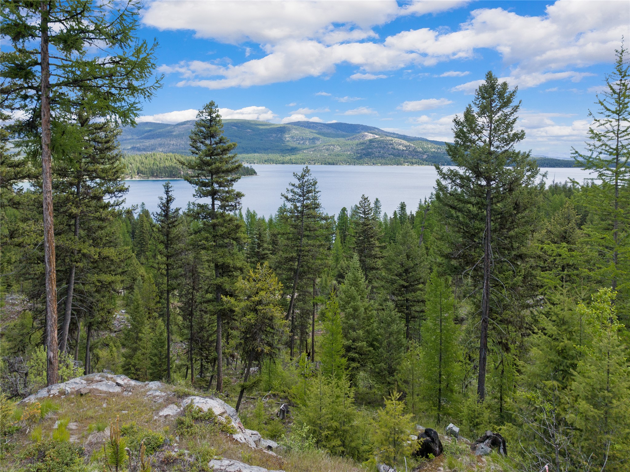 300 Highland Trail Property Photo 19