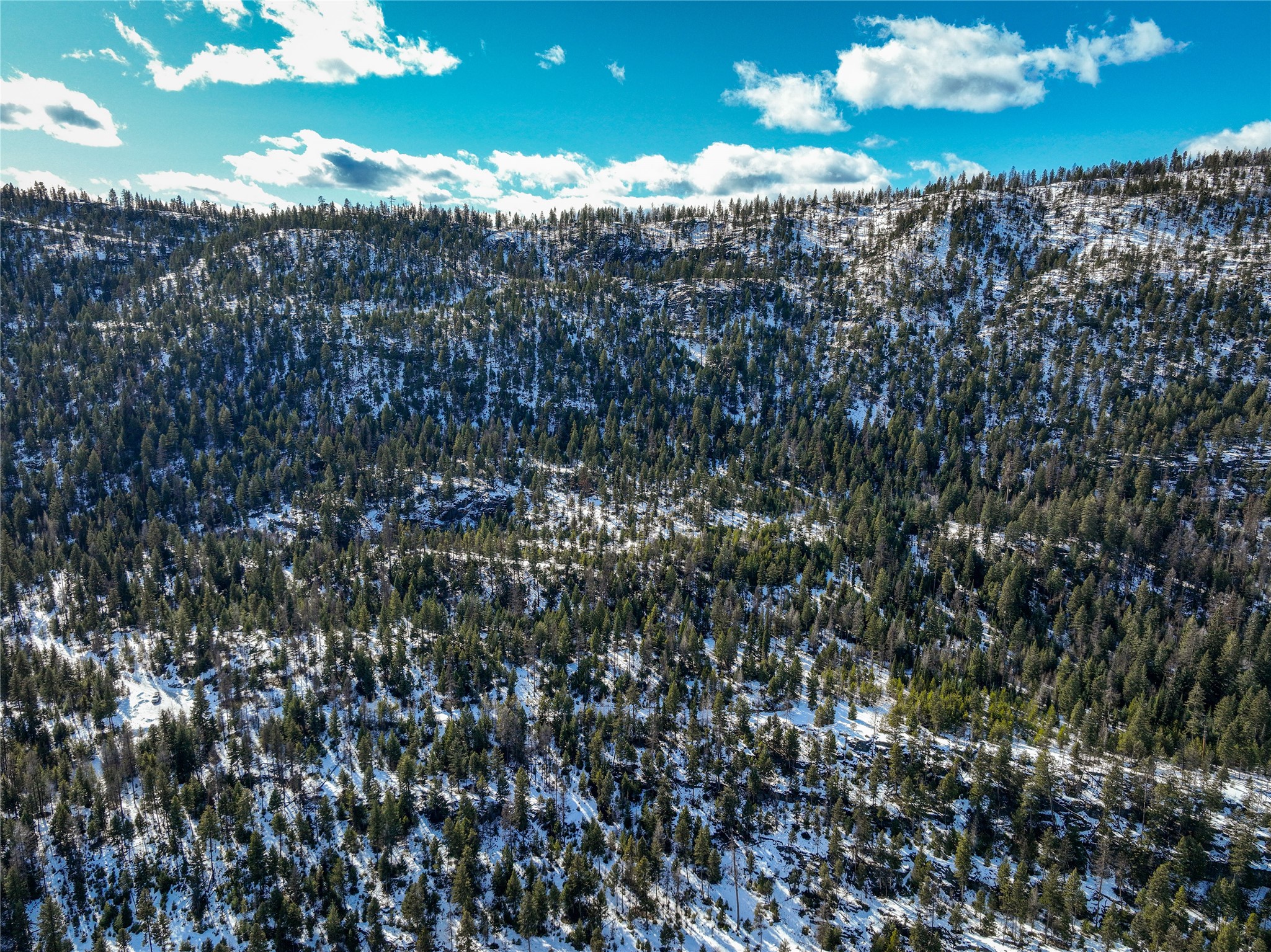 300 Highland Trail Property Photo 43