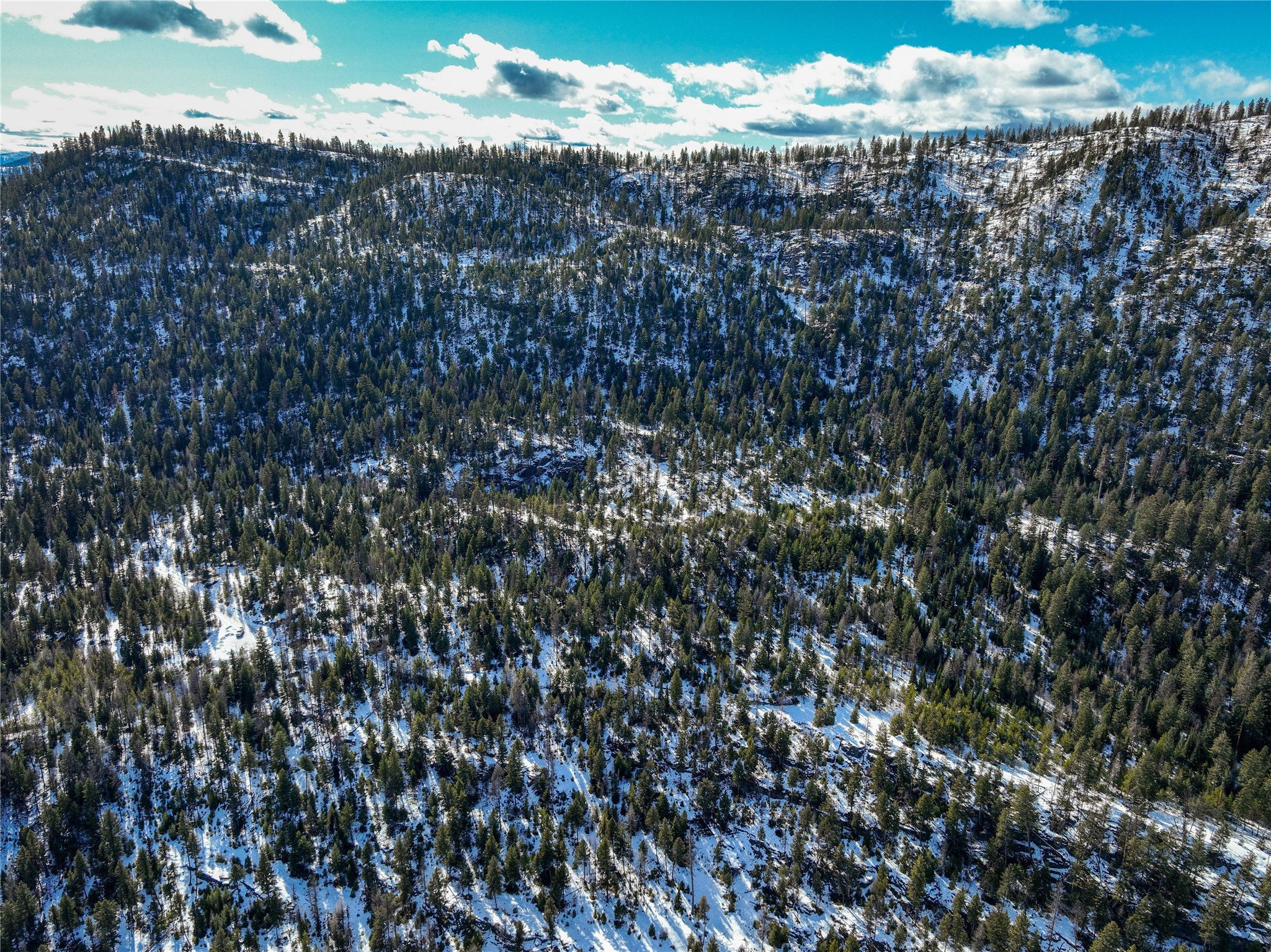 300 Highland Trail Property Photo 47