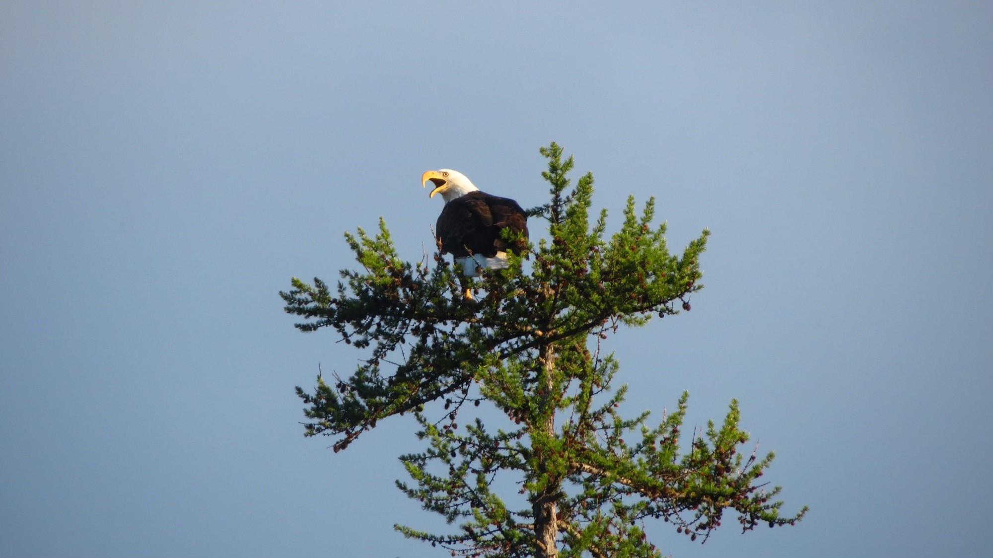 300 Highland Trail Property Photo 63