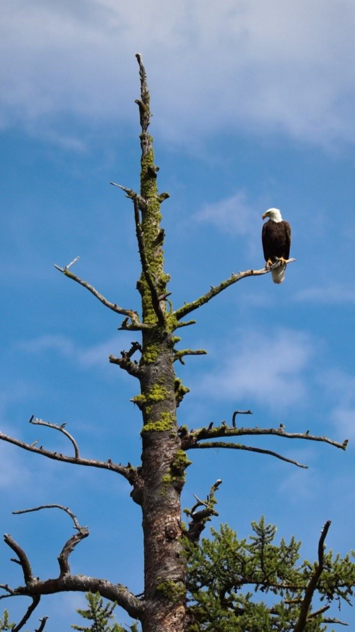 300 Highland Trail Property Photo 64