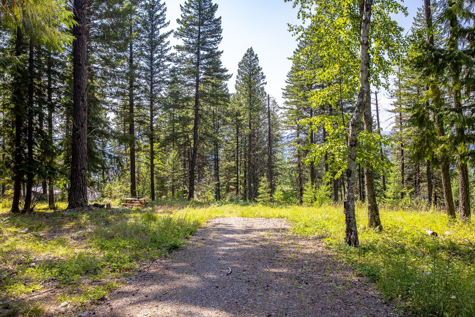 120 Cedar Way Property Photo 3