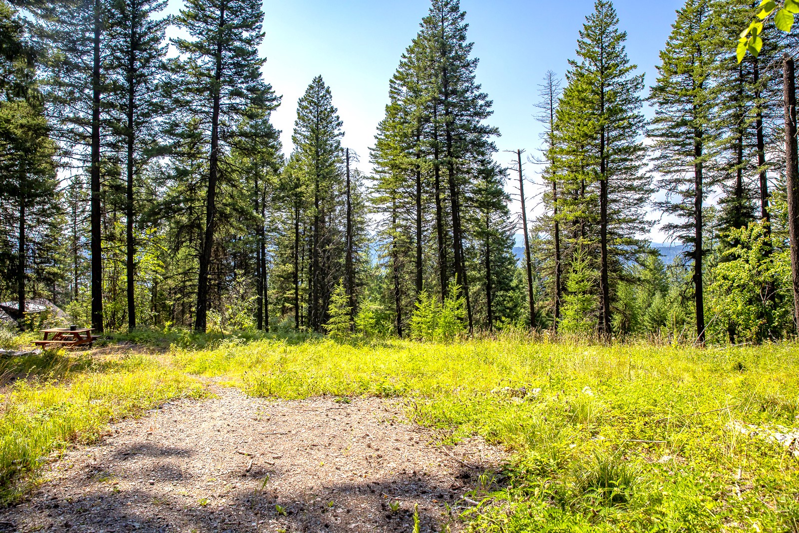 120 Cedar Way Property Photo 4