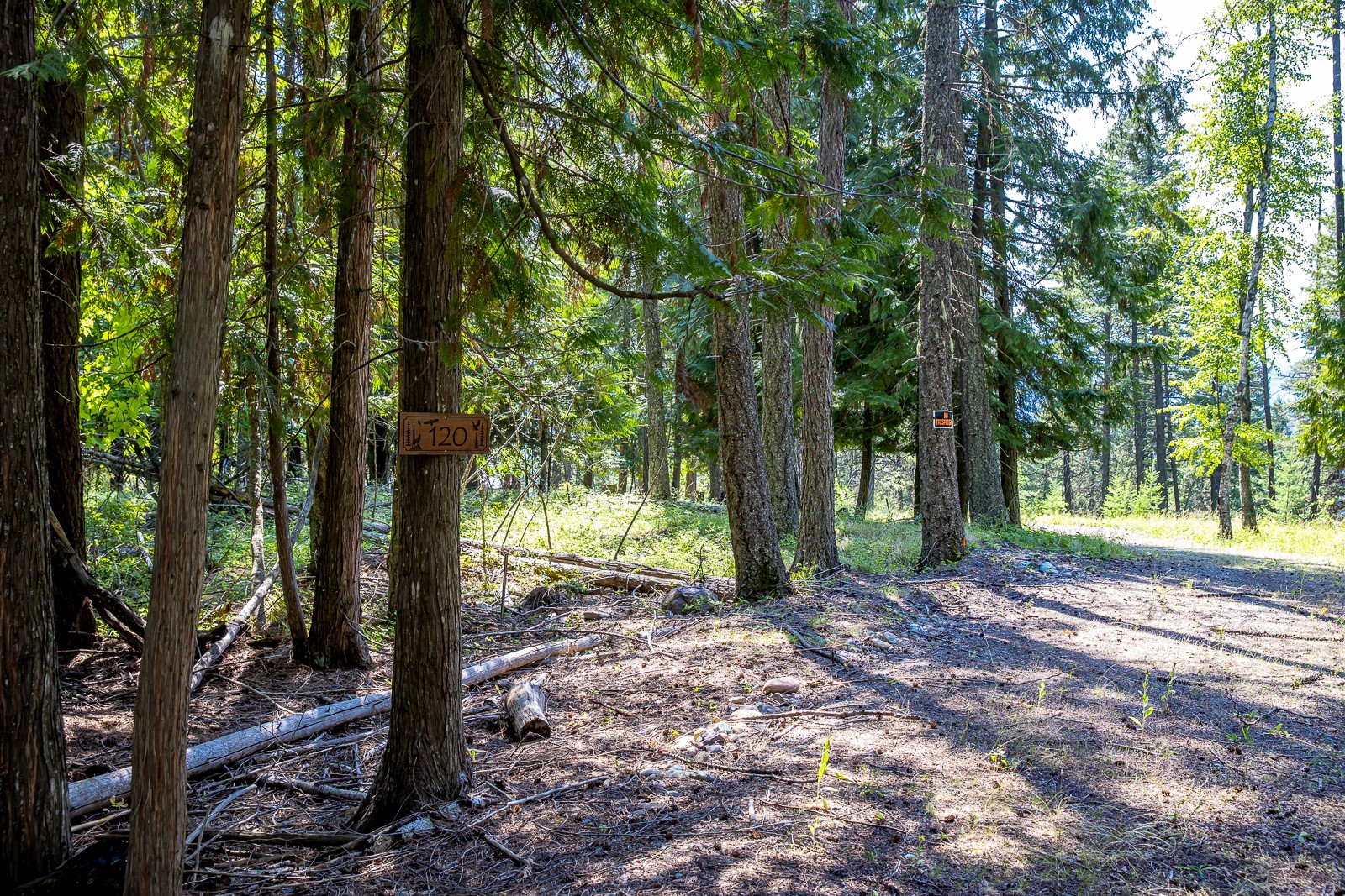 120 Cedar Way Property Photo 5