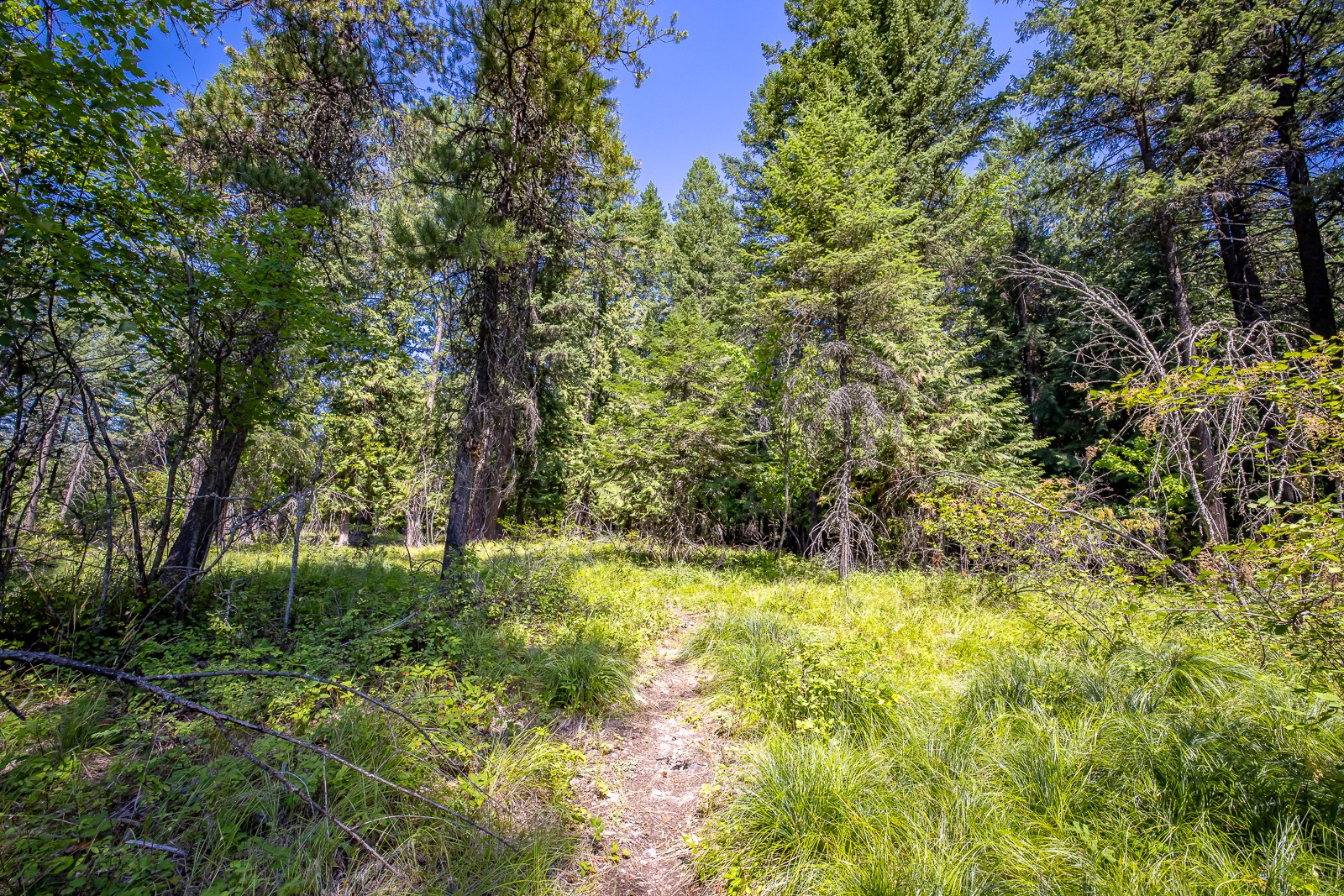 120 Cedar Way Property Photo 8