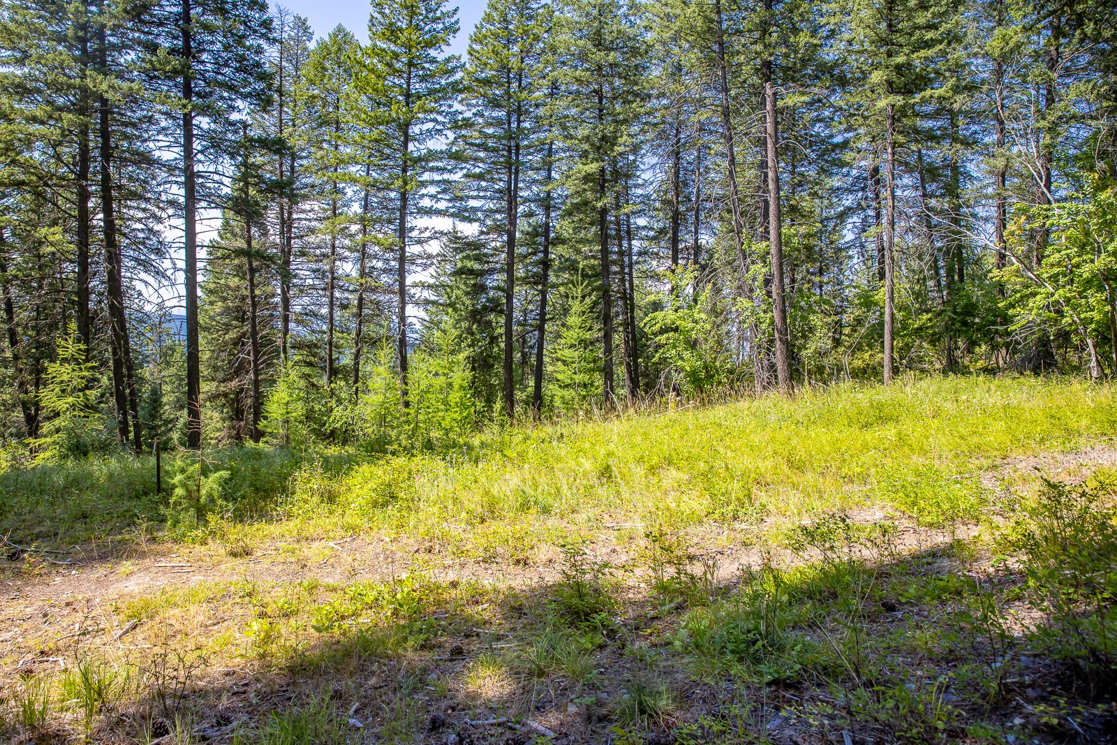 120 Cedar Way Property Photo 11