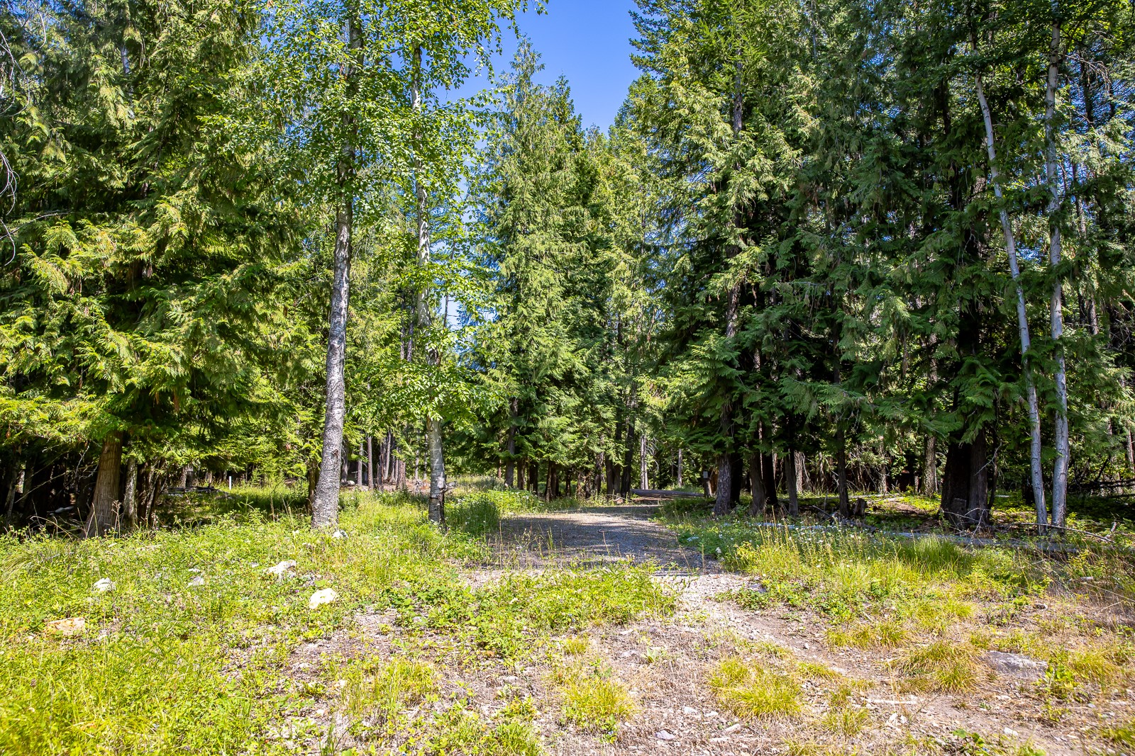 120 Cedar Way Property Photo 12