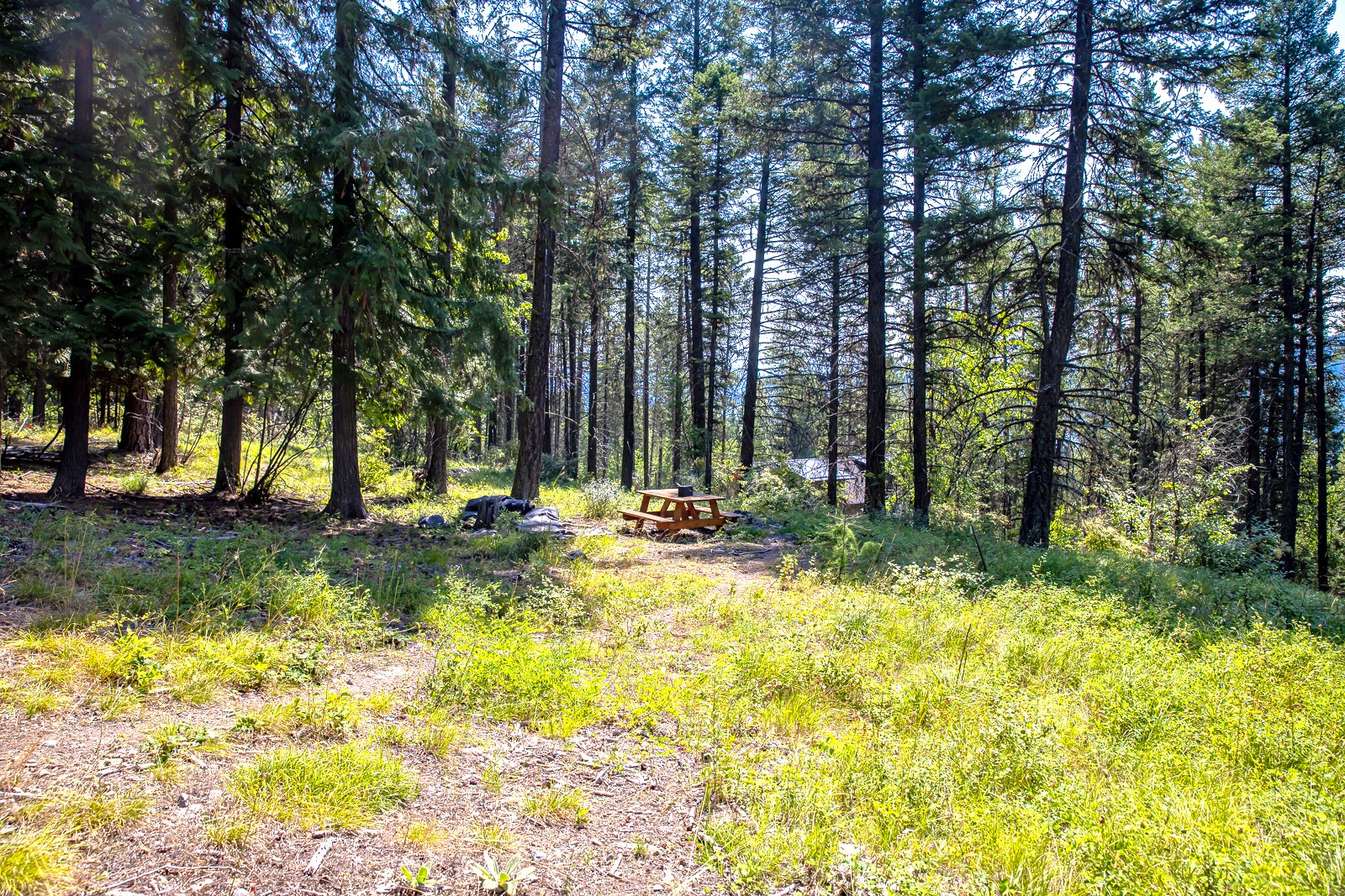 120 Cedar Way Property Photo 14