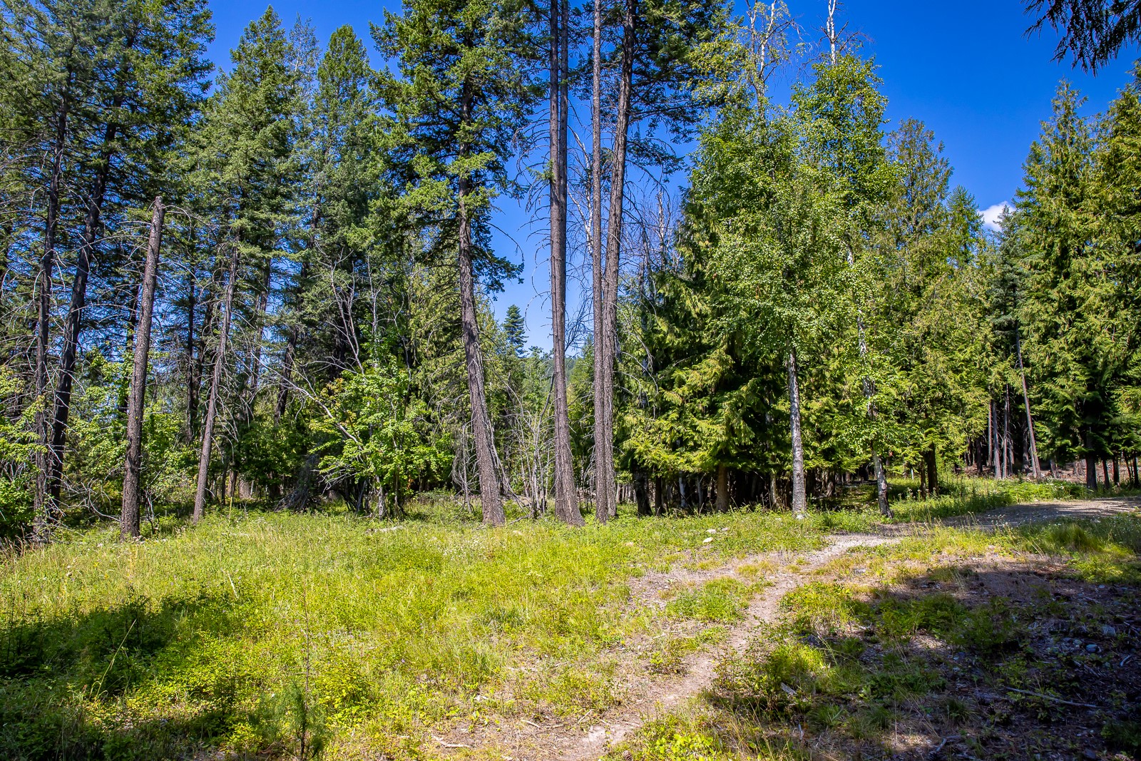 120 Cedar Way Property Photo 15