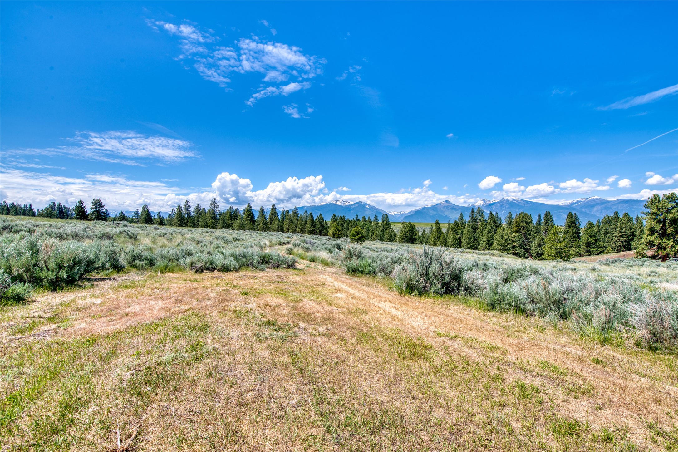 3661 Sagehill Drive Property Photo 14