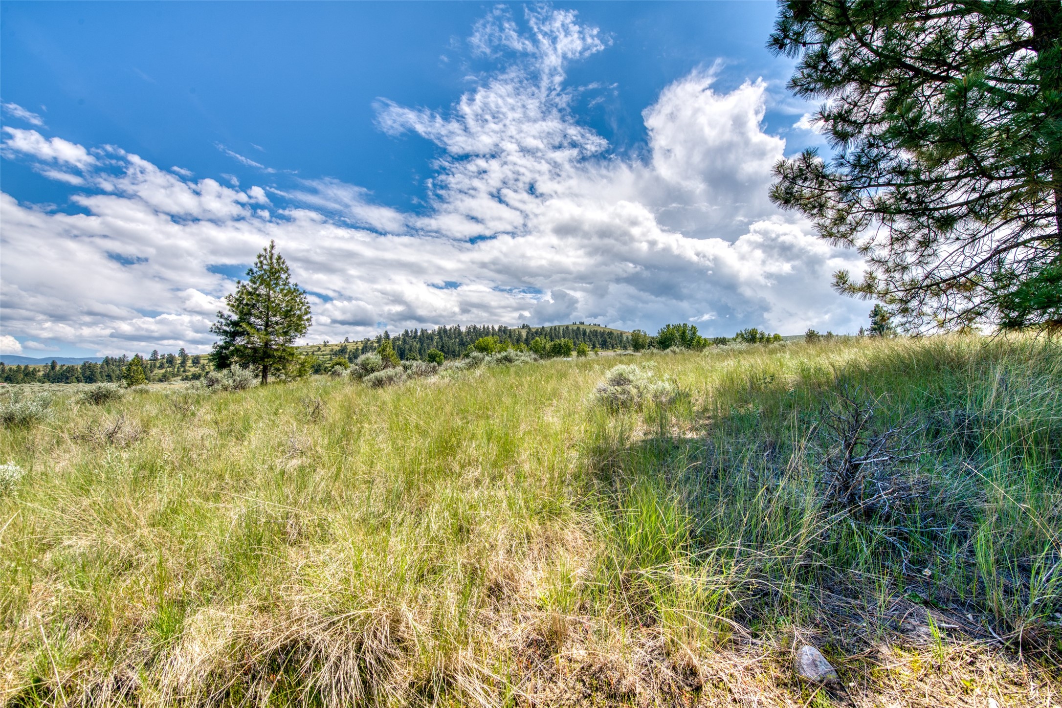 3661 Sagehill Drive Property Photo 16