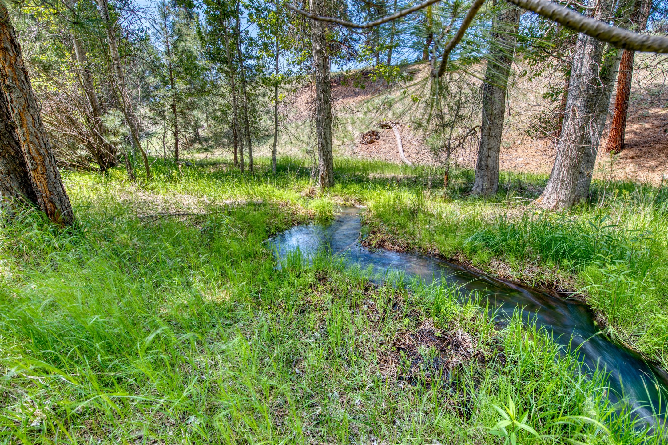 3661 Sagehill Drive Property Photo 17