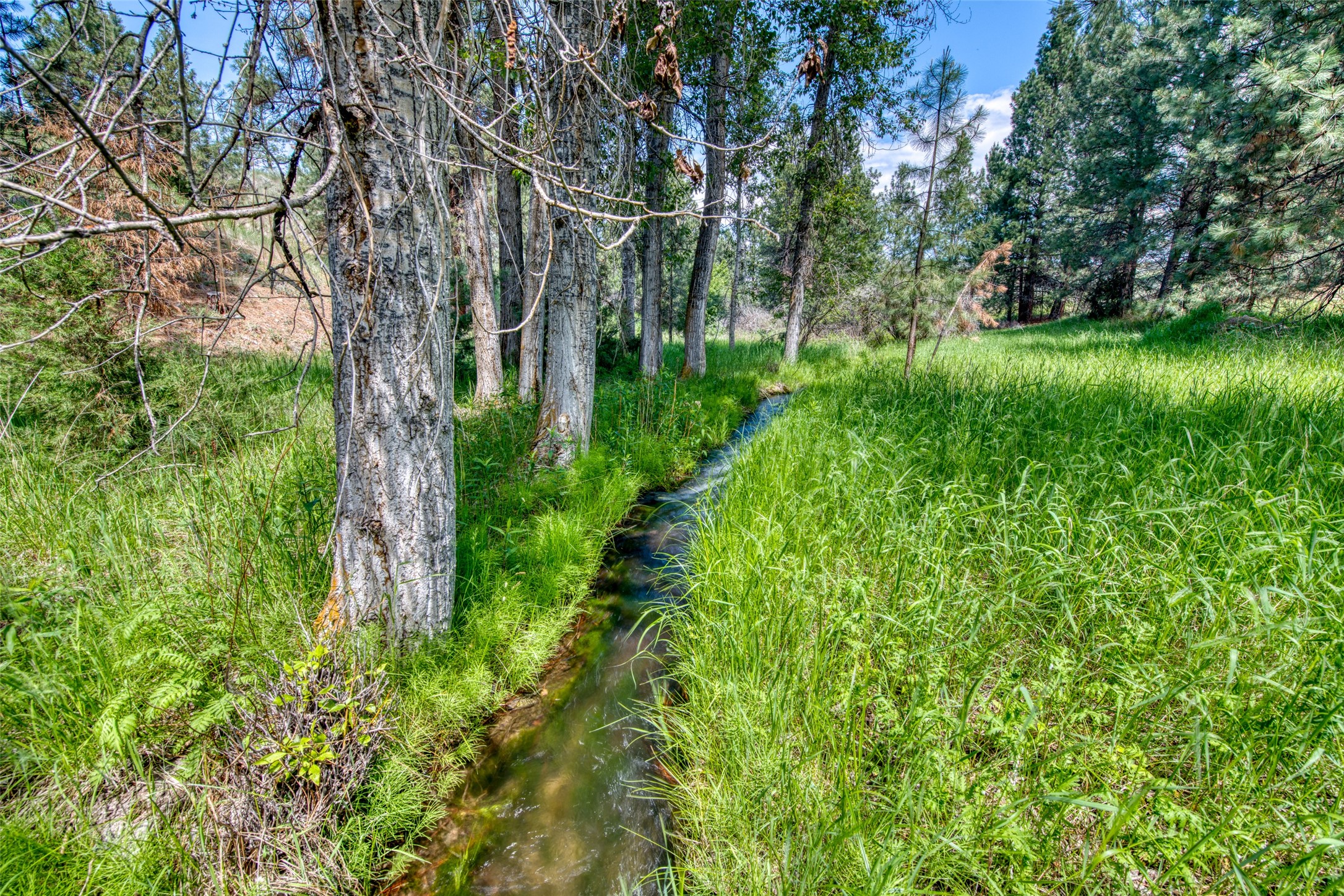 3661 Sagehill Drive Property Photo 18