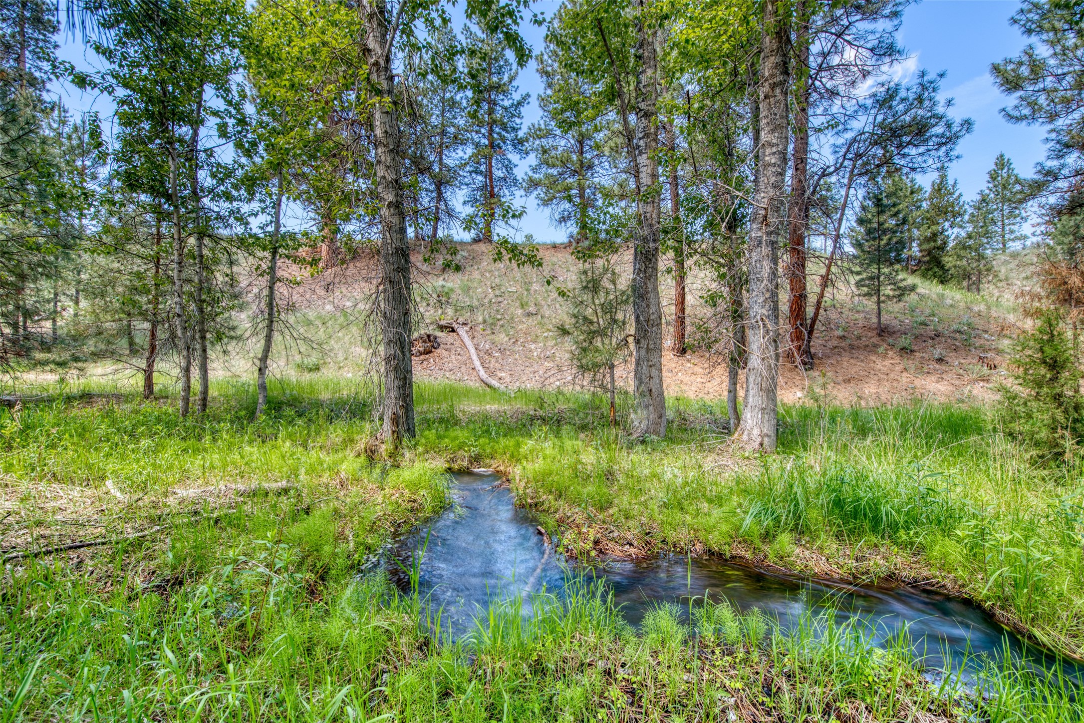 3661 Sagehill Drive Property Photo 19