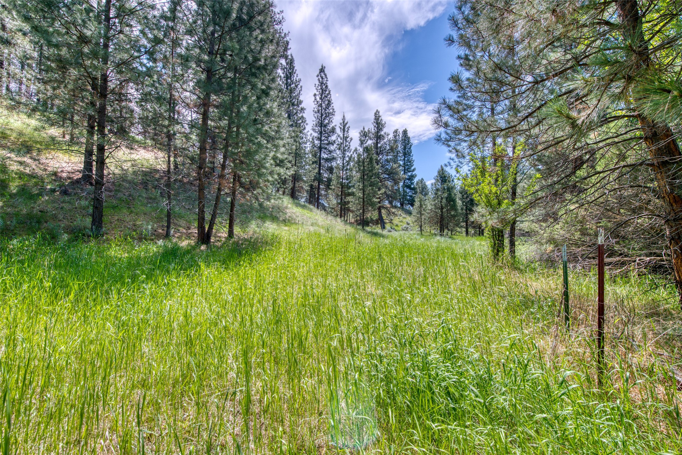 3661 Sagehill Drive Property Photo 20