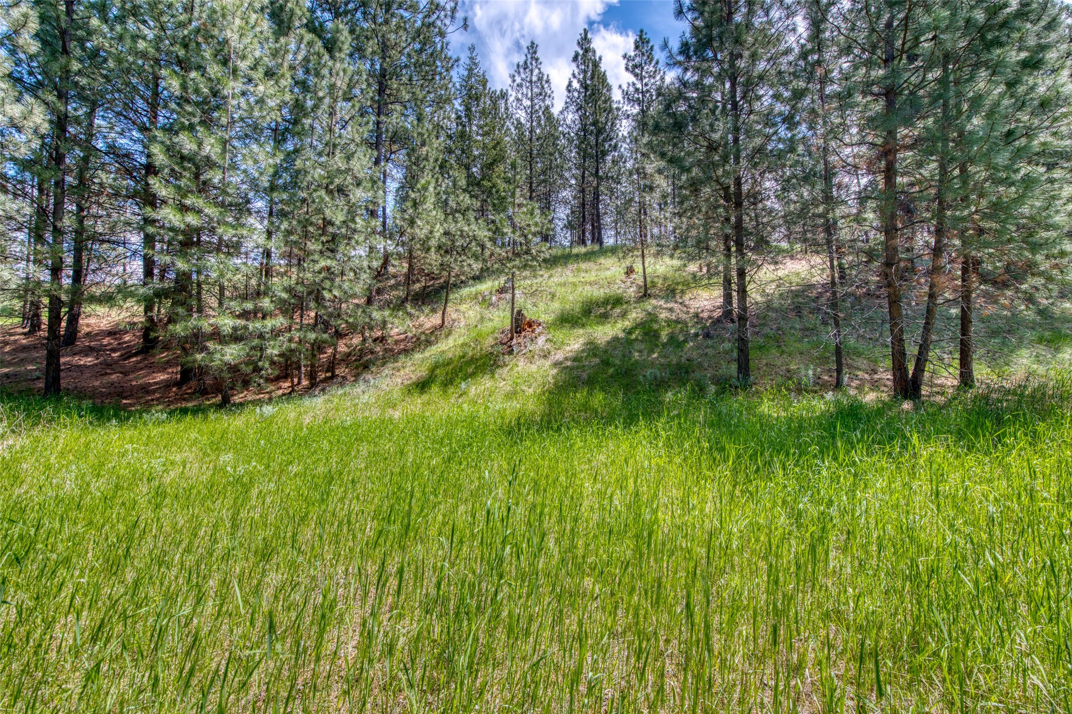 3661 Sagehill Drive Property Photo 21