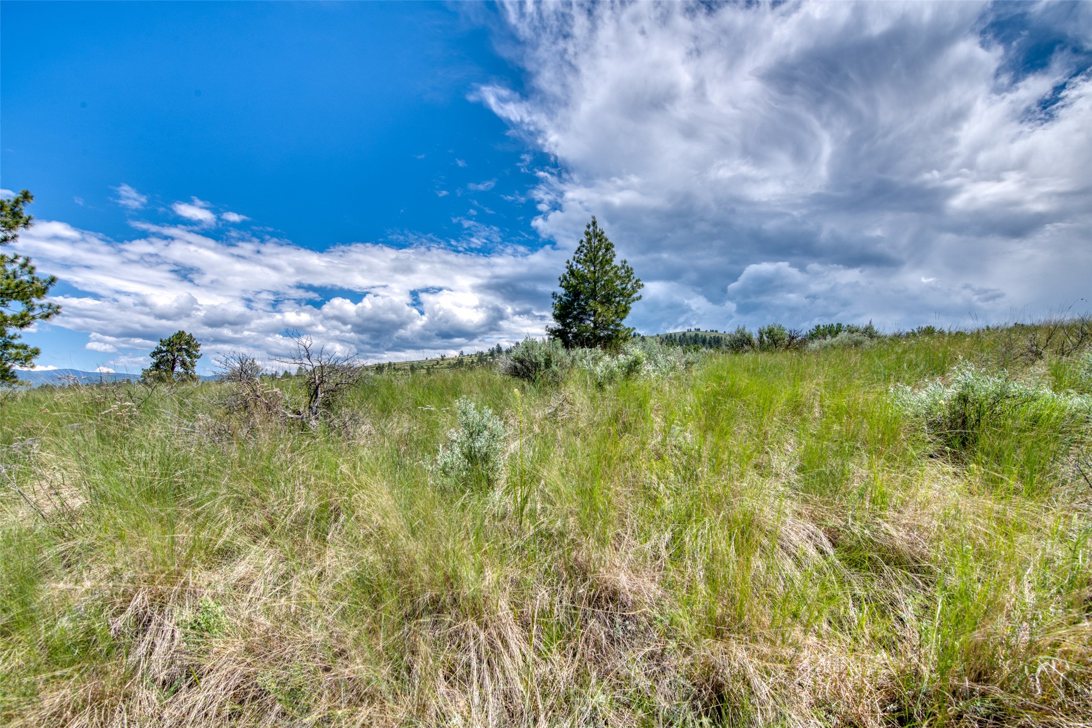 3661 Sagehill Drive Property Photo 22