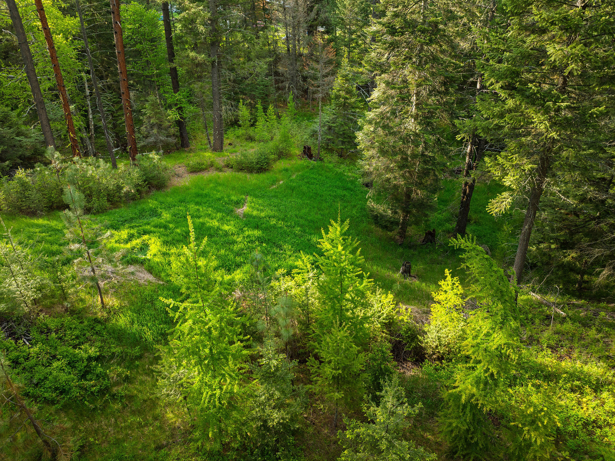 131 Mccaffery Lookout Trail Property Photo 55
