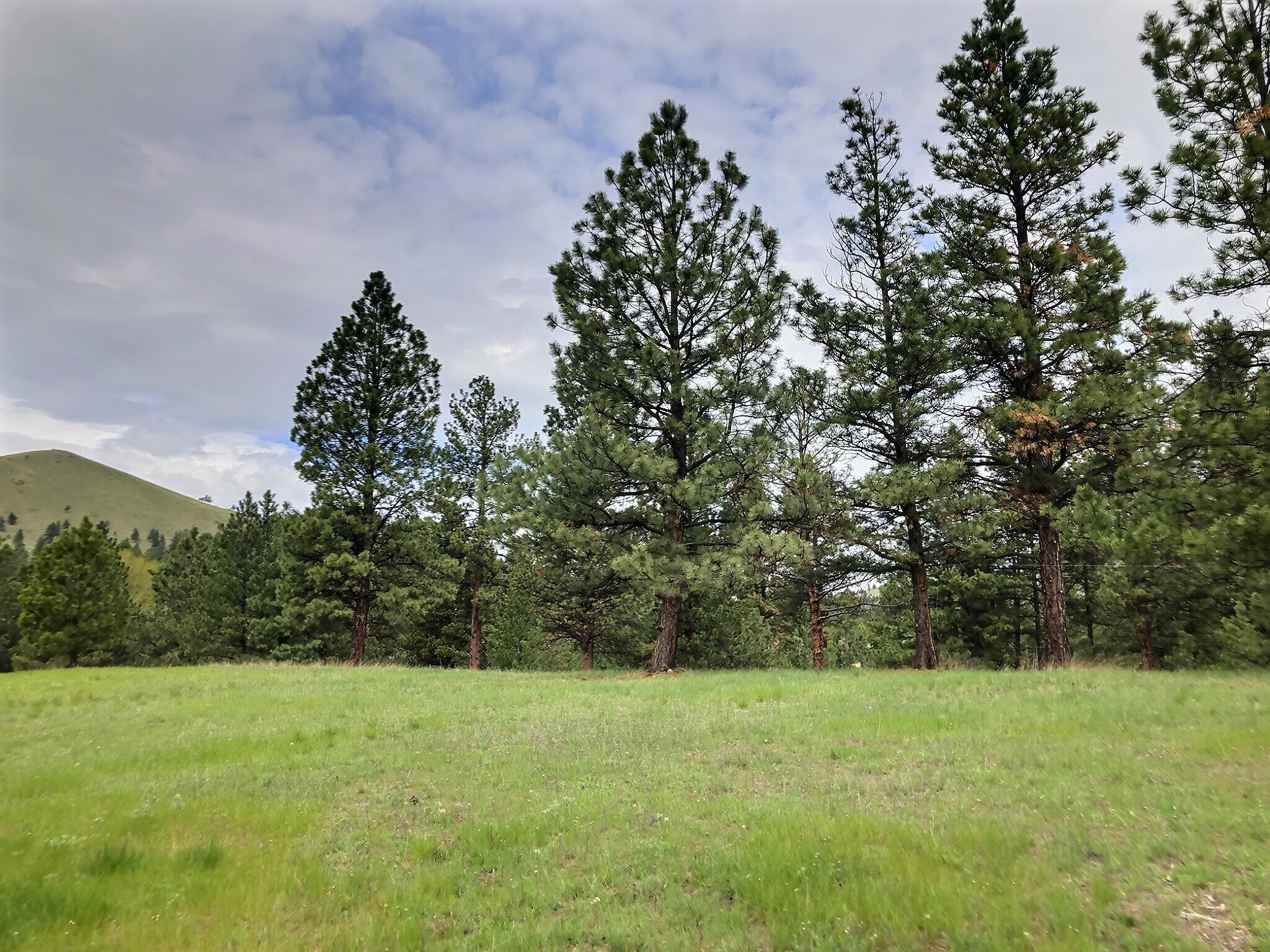3 Rosie Lane Property Photo 1