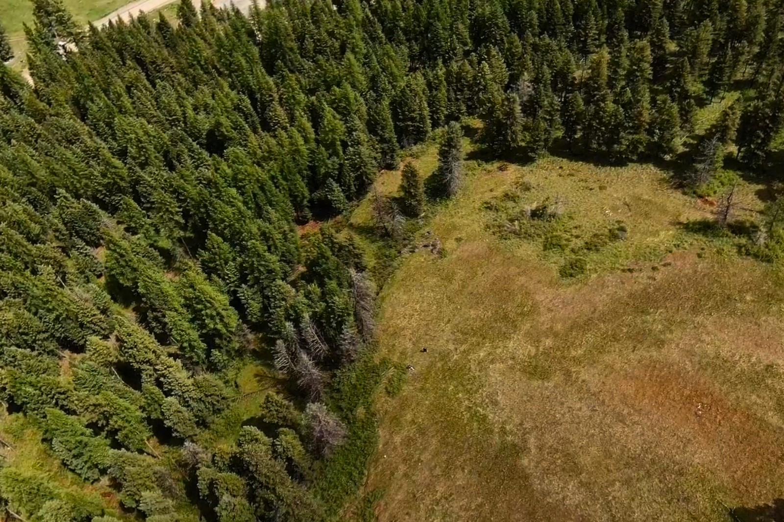 350 Rogers Lake Road Property Photo 5