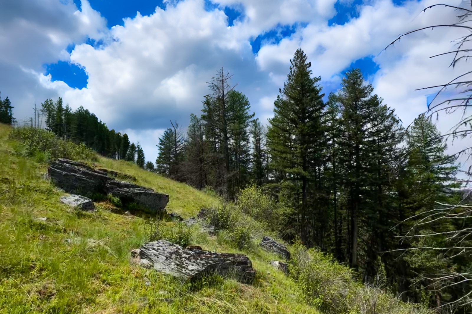 350 Rogers Lake Road Property Photo 6