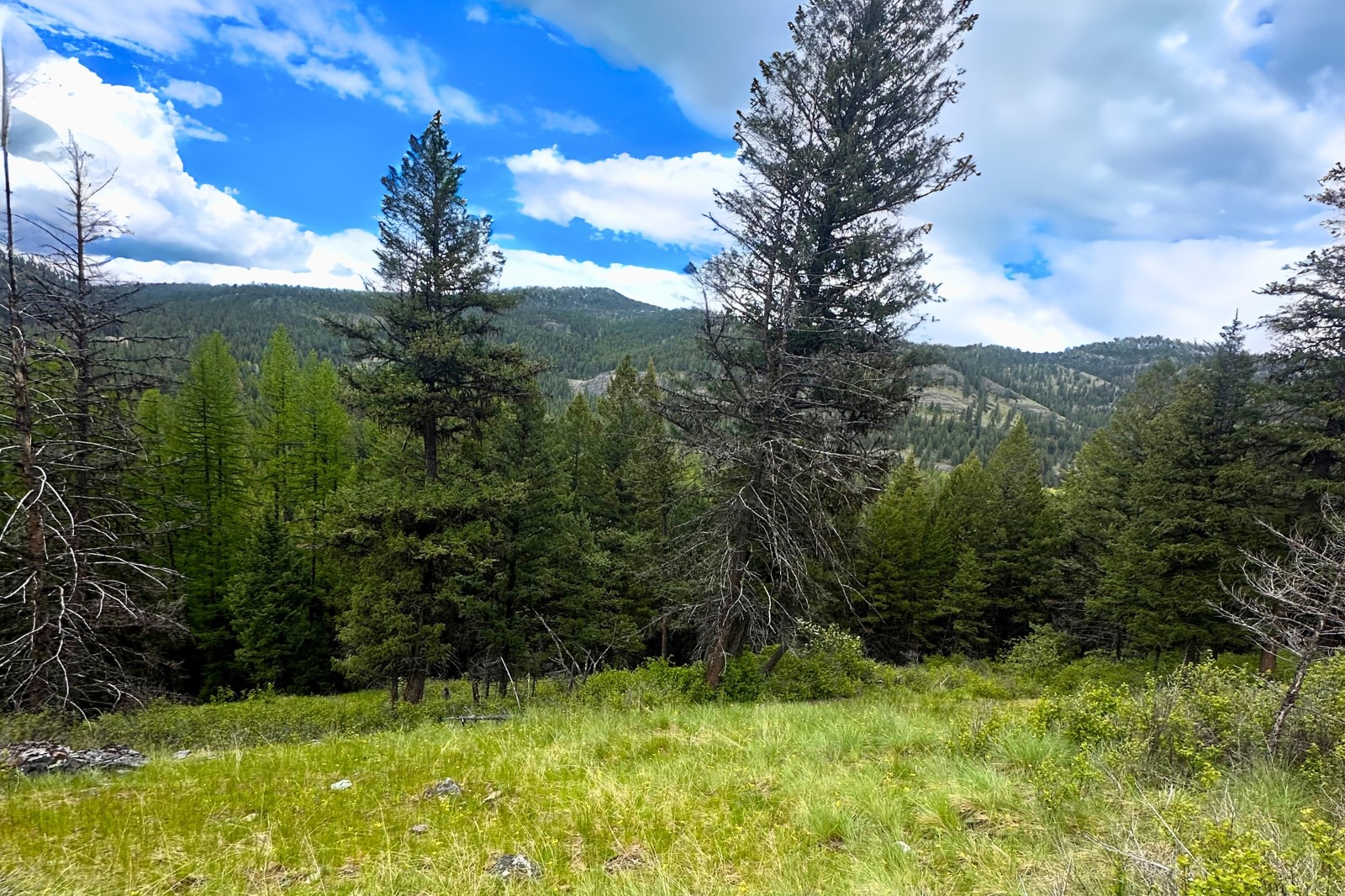 350 Rogers Lake Road Property Photo 7