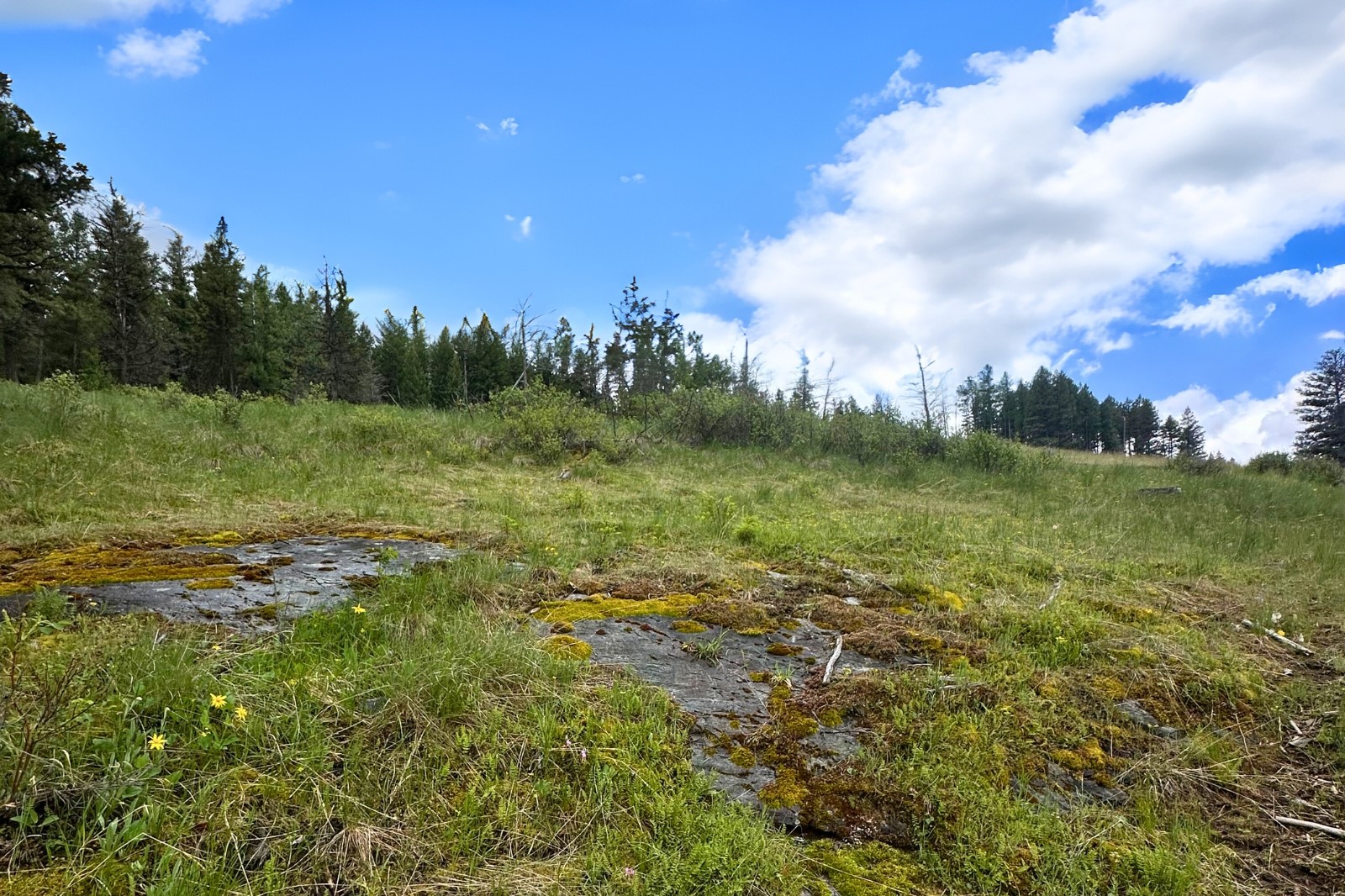 350 Rogers Lake Road Property Photo 8