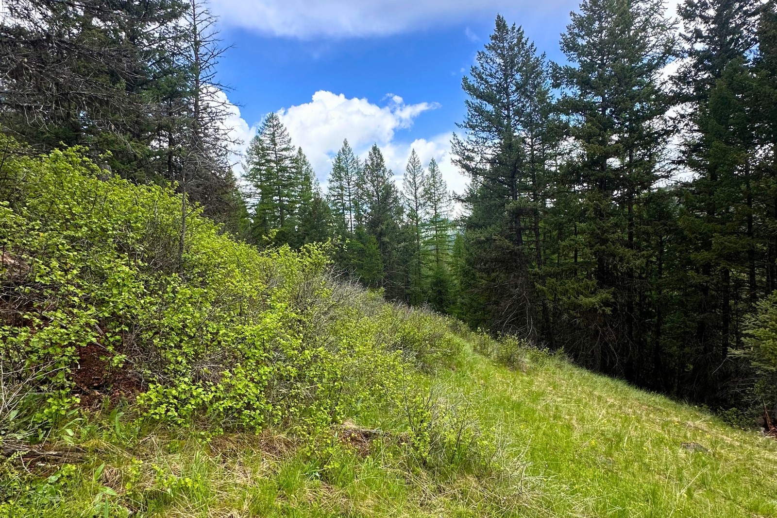 350 Rogers Lake Road Property Photo 9