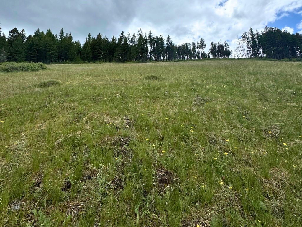 350 Rogers Lake Road Property Photo 10