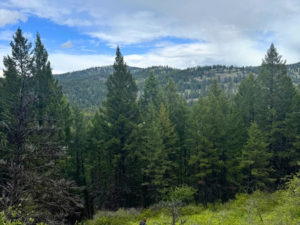 350 Rogers Lake Road Property Photo 11