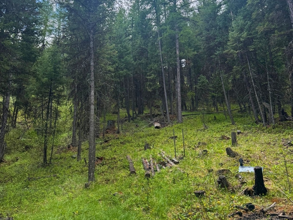 350 Rogers Lake Road Property Photo 12