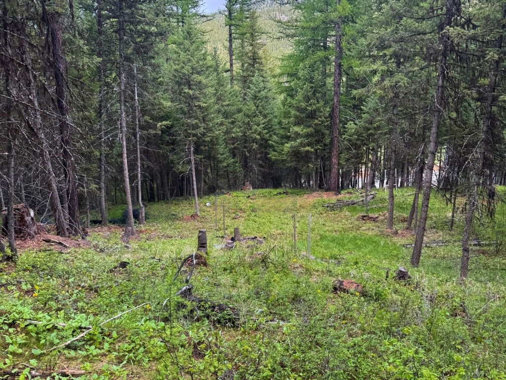 350 Rogers Lake Road Property Photo 13