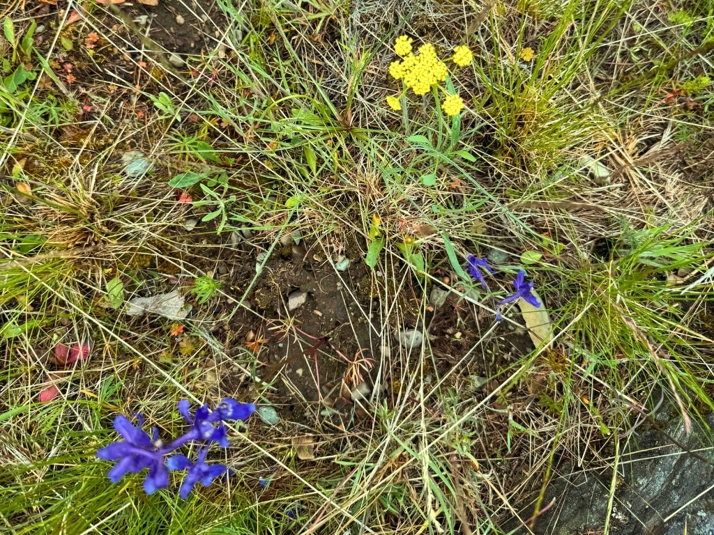 350 Rogers Lake Road Property Photo 14