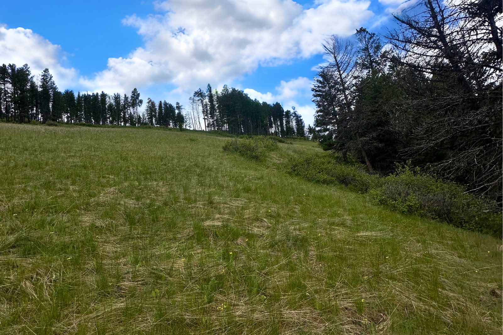 350 Rogers Lake Road Property Photo 15