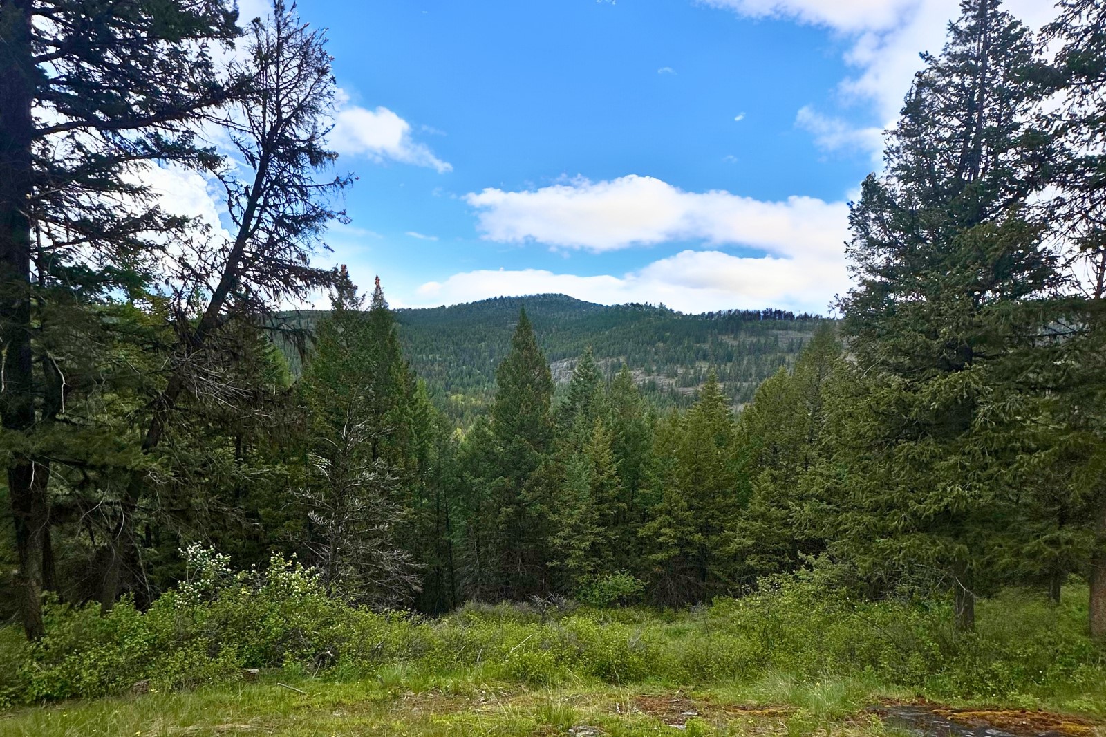 350 Rogers Lake Road Property Photo 16