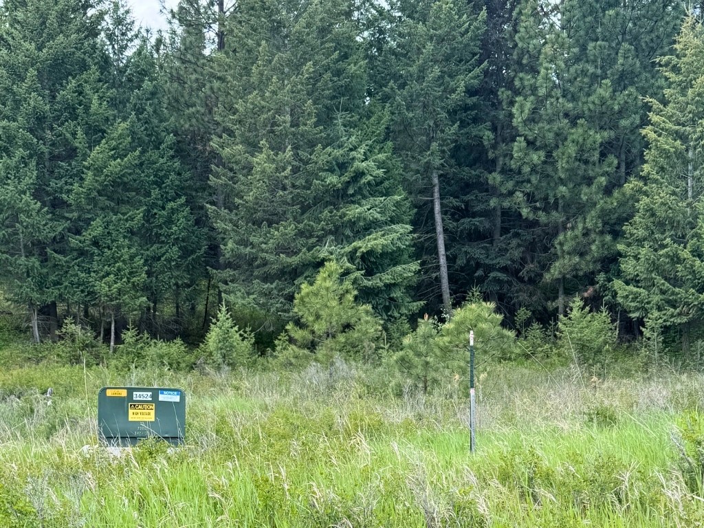 350 Rogers Lake Road Property Photo 18