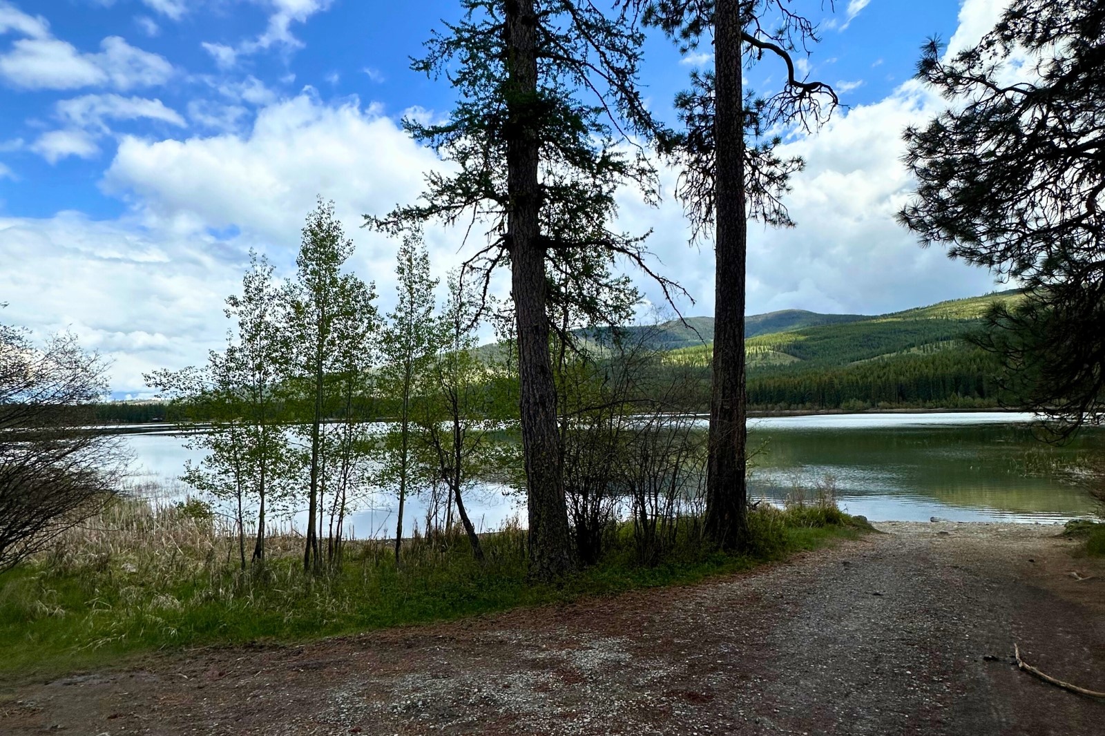 350 Rogers Lake Road Property Photo 20