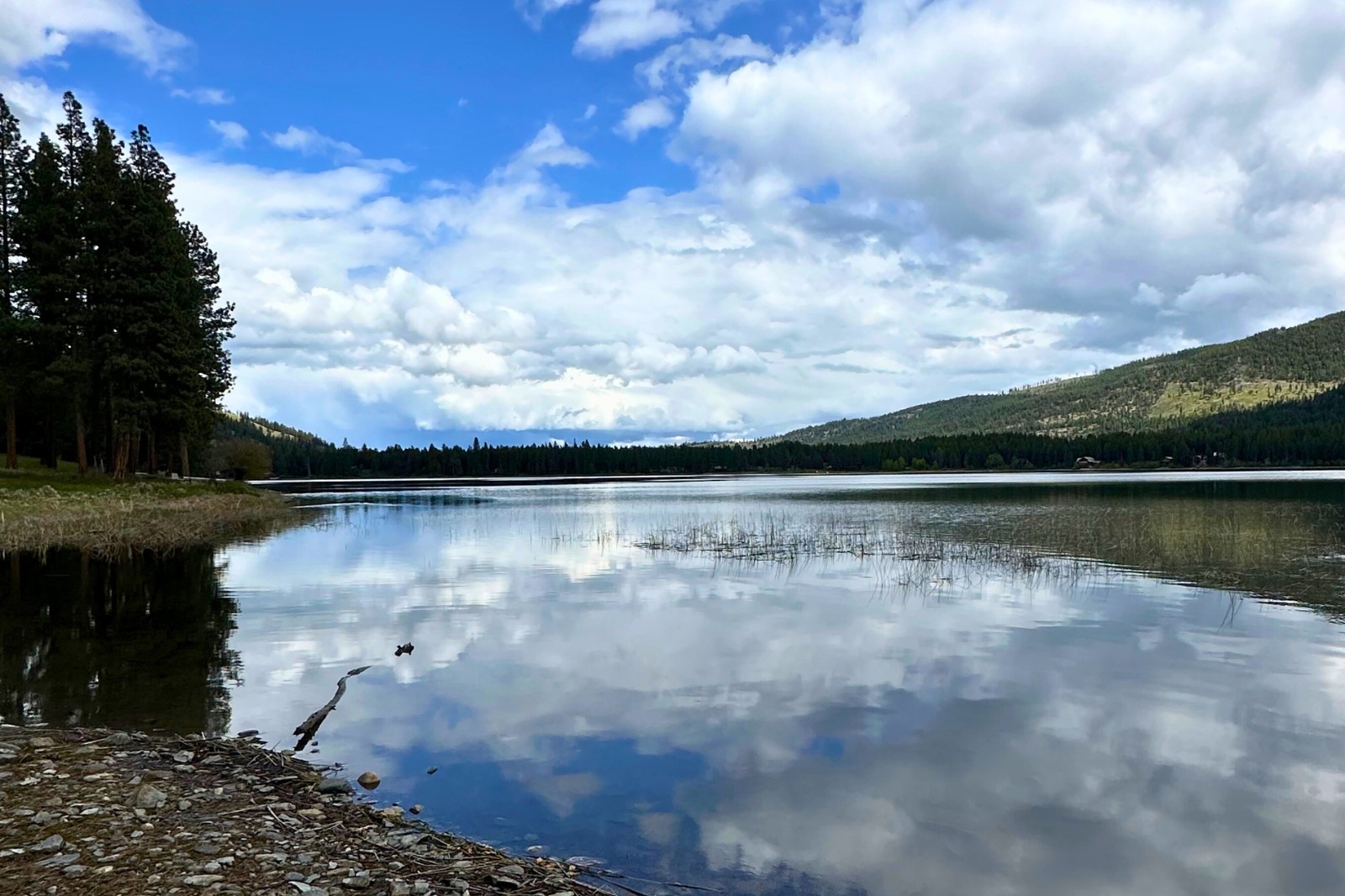 350 Rogers Lake Road Property Photo 21