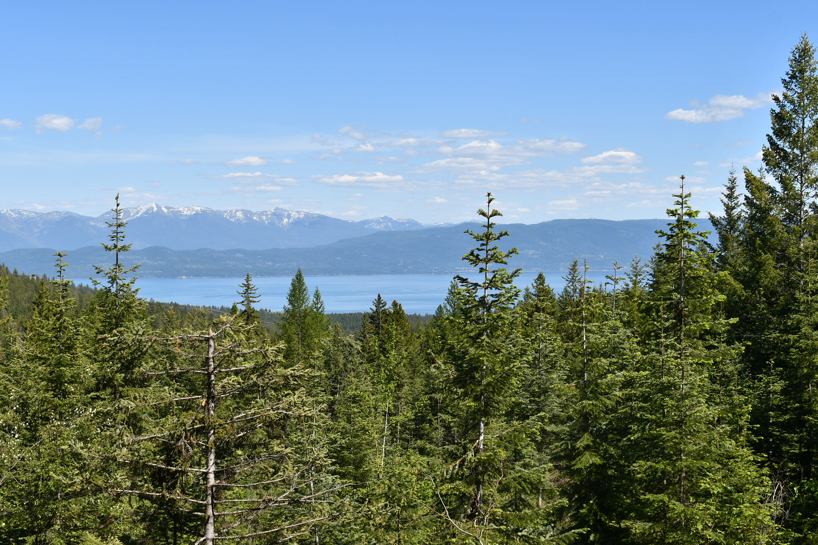 1520 Bierney Creek Road Property Photo 2