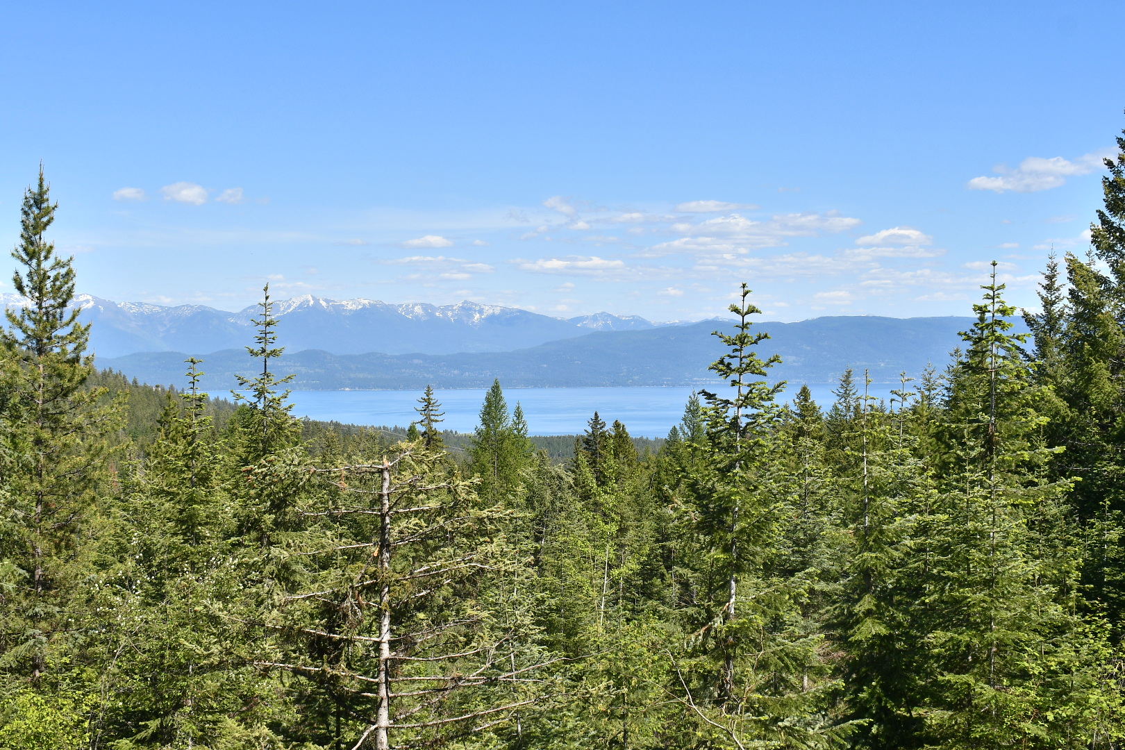 1520 Bierney Creek Road Property Photo 2
