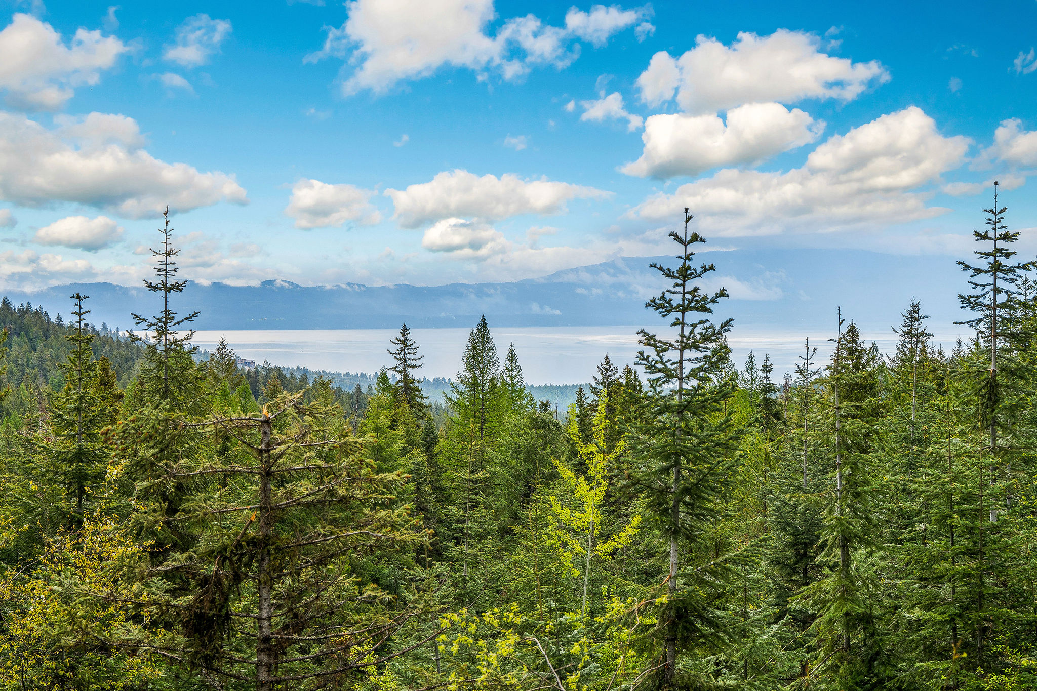 1520 Bierney Creek Road Property Photo 3