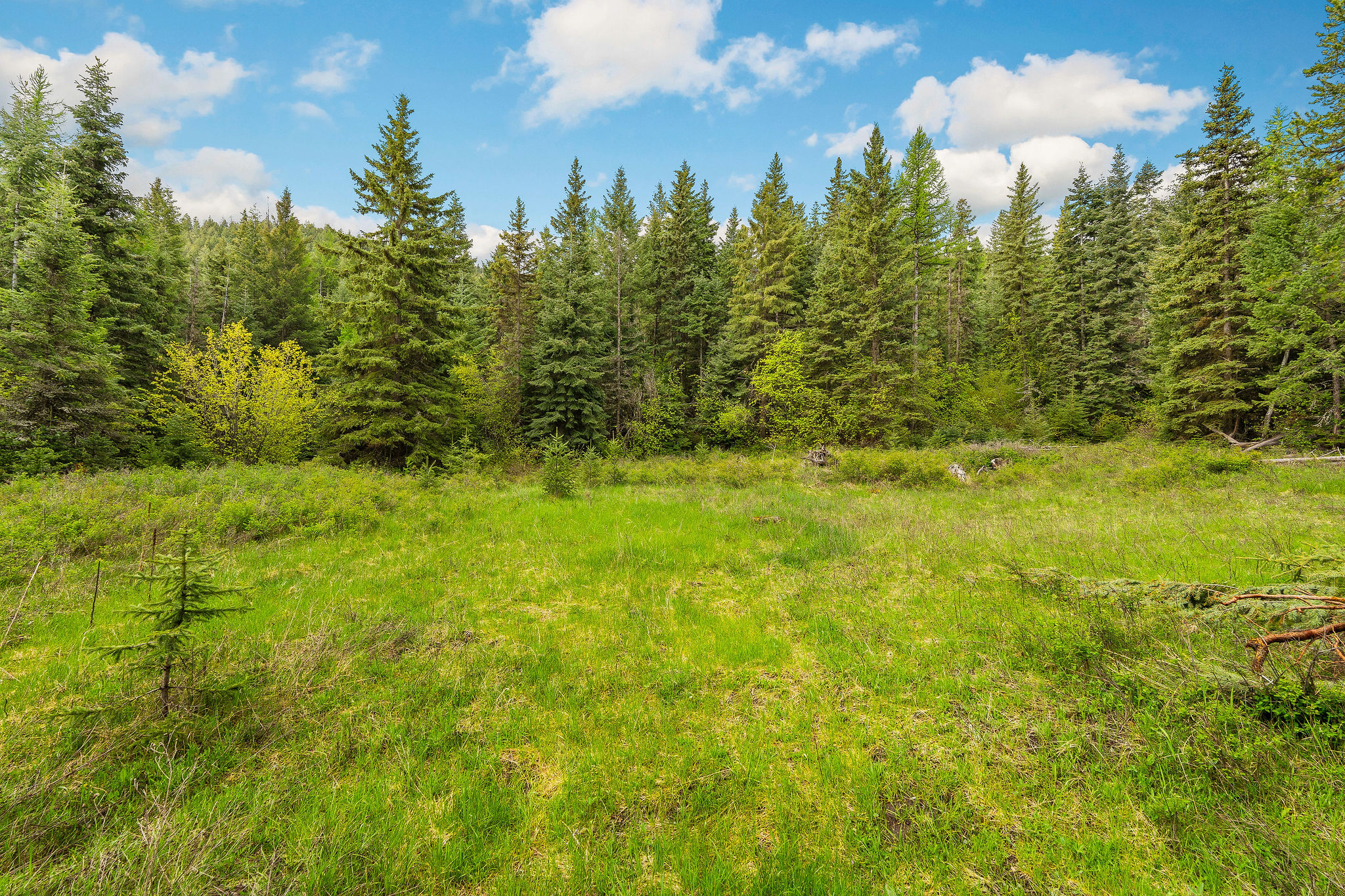1520 Bierney Creek Road Property Photo 3