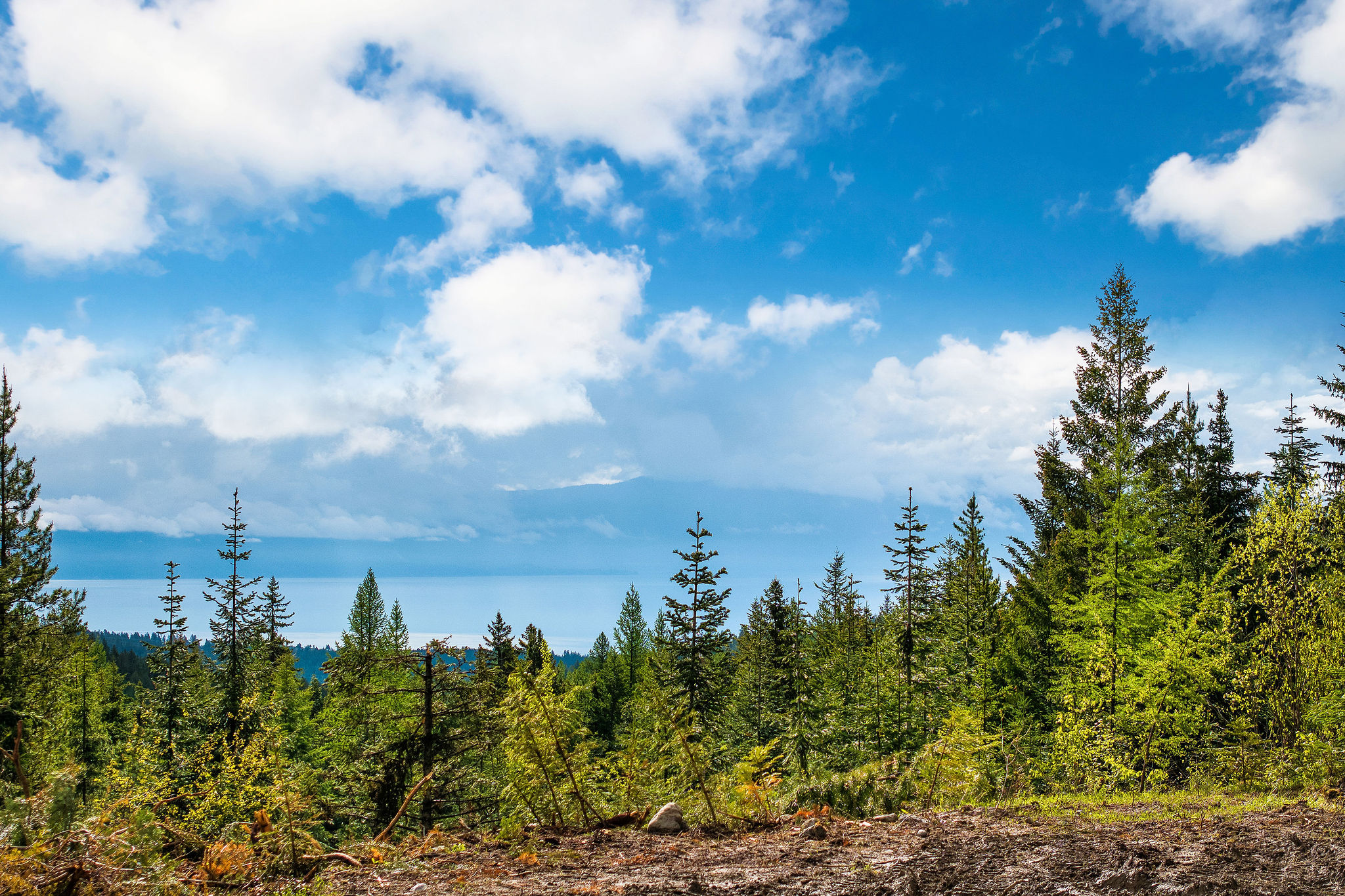 1520 Bierney Creek Road Property Photo 4