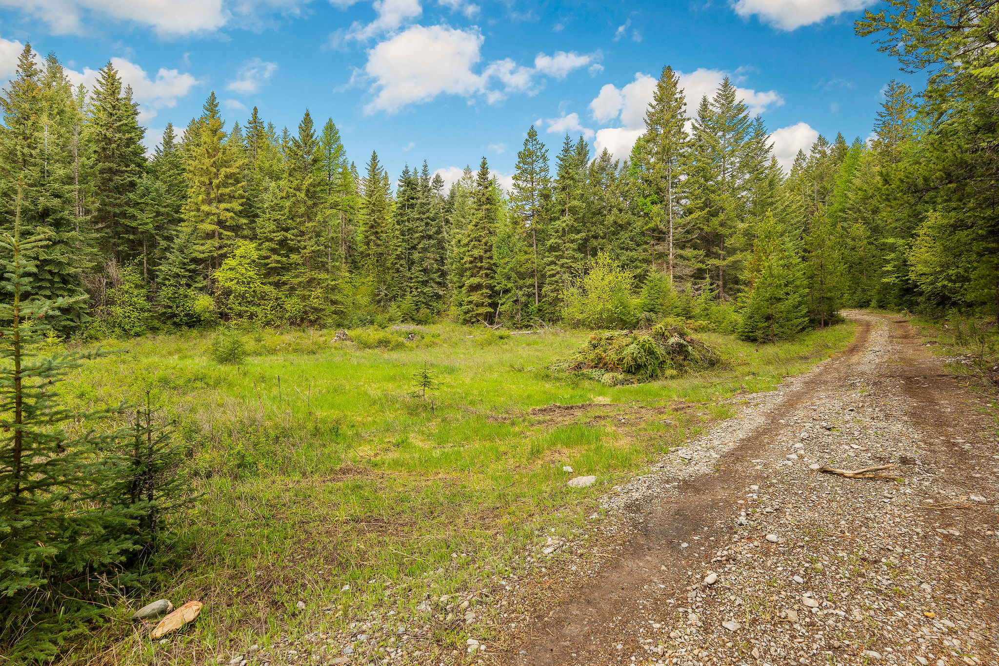 1520 Bierney Creek Road Property Photo 5