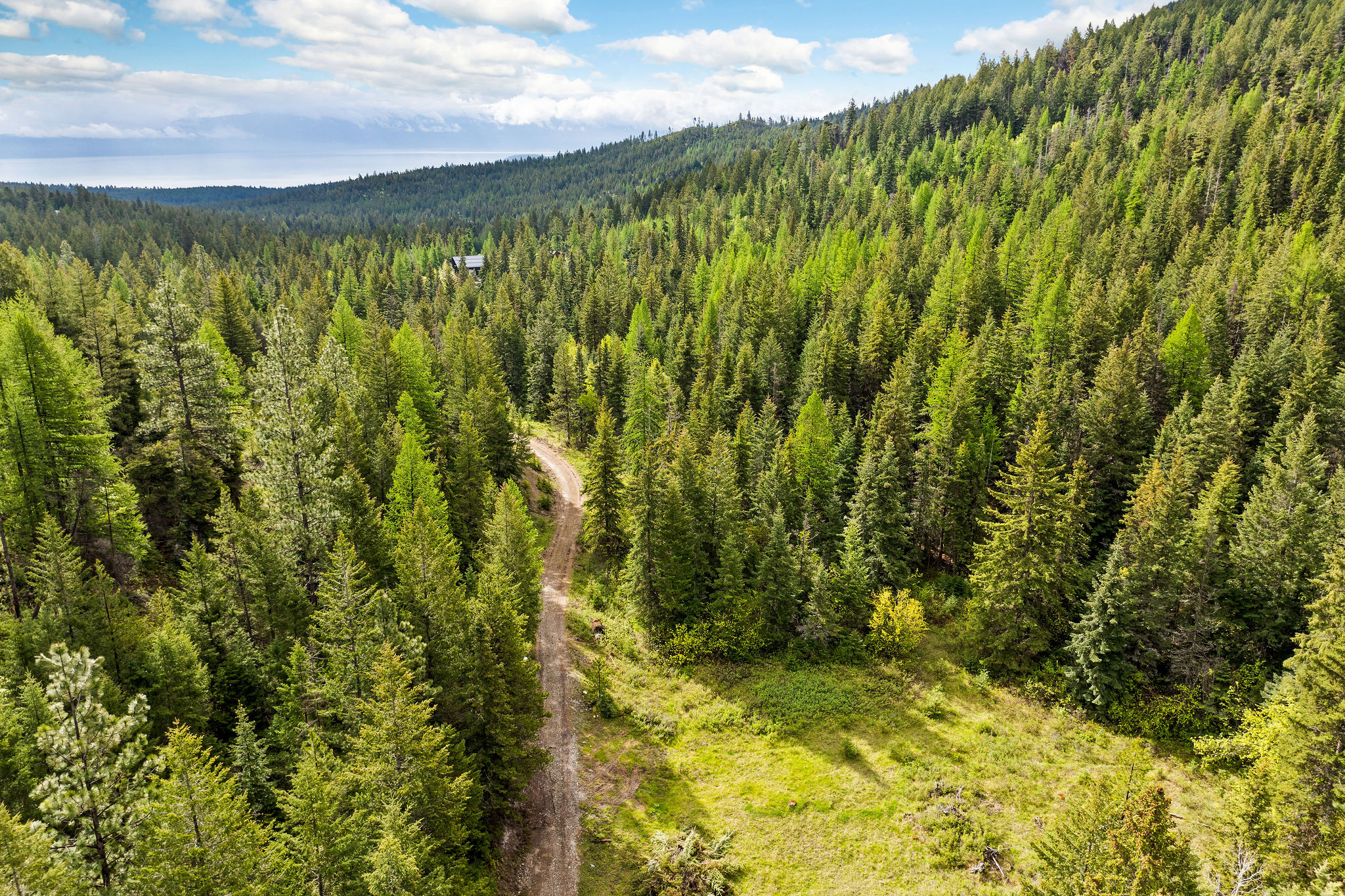 1520 Bierney Creek Road Property Photo 7